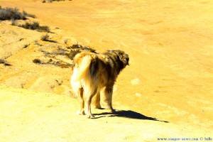 Die perfekte Tarnfarbe... Nicol at Playa de Las Palmeras – Spain