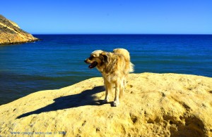 ...ich hab' ein Denkmal gesehen! Nicol at Playa de Las Palmeras – Spain