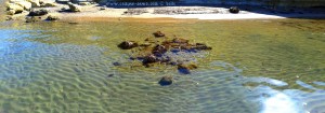 Glasklares Wasser - Playa de las Palmeras – Spain