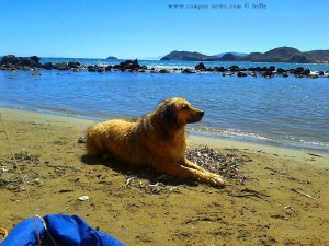 Nicol nach der Schwimmstunde - Playa de las Palmeras – Spain