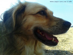 Nicol at the Playa las Salinas – Spain