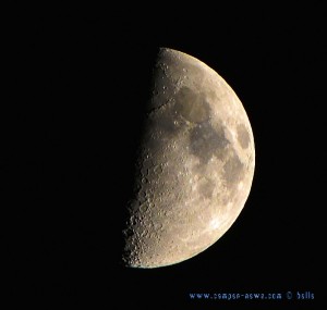 Halfmoon at Playa las Salinas – Spain – 21:10:01