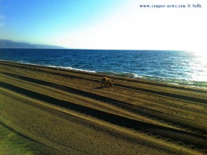 Nicol read her eMails at Playa las Salinas – Spain 09:31