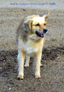 Nicol at Playa las Salinas - Spain