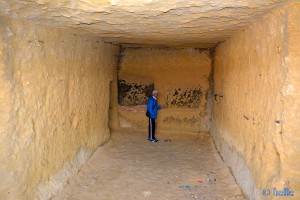 Baffo in einer Höhle am Playa los Cocedores – Februar 2015