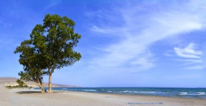 Playa de los Bajos – Spain