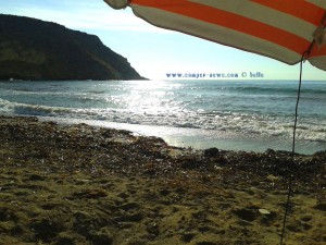 My View today - Playa de las Palmeras – Spain