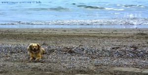 Nicol at Playa Almerimar – Spain