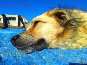 Nicol at Playa las Salinas – Spain