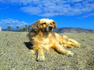 ...wie jetzt? Ich bin doch „On Guard“! Nicol at Playa las Salinas – Spain