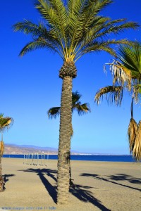 Lange Schatten am Playa las Salinas – Spain