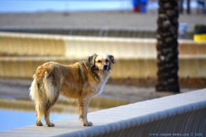 Nicol at Playa las Salinas – Spain