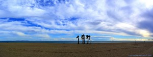 Möwen am Playa las Salinas – Spain