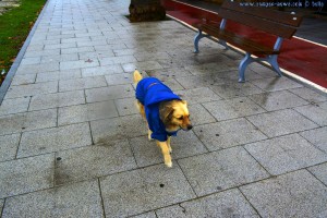 Nicol mit Regenjacke in Palmones – Spain