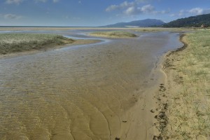 Laguna de Tarifa - Spain