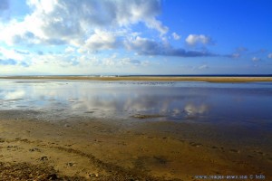 My View today - Playa de los Lances Norte - Tarifa – Spain