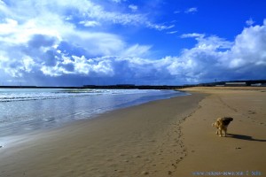 Nicol at Playa de Barbate – Spain