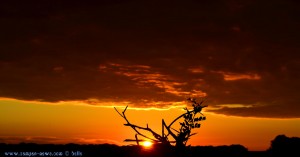 Sunset at Laguna de los Tollos – Spain → 55mm → 18:04:25