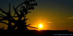 Sunset at Laguna de los Tollos – Spain