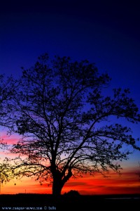 Sunset at Laguna de los Tollos – Spain