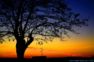 Sunset at Laguna de los Tollos – Spain