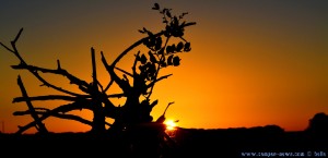 Sunset at Laguna de los Tollos – Spain