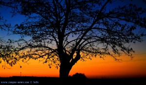 Sunset at Laguna de los Tollos – Spain