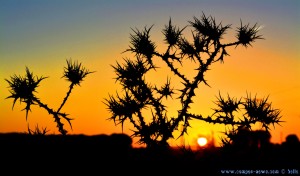 Sunset at Laguna de los Tollos – Spain → 18:04:16