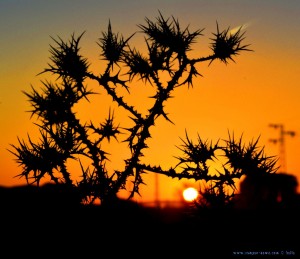 Sunset at Laguna de los Tollos – Spain → 18:04:39