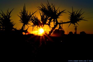 Sunset at Laguna de los Tollos – Spain → Aperture priority → 55mm → 18:00:52