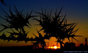 Sunset at Laguna de los Tollos – Spain → Manual control → 34mm → 18:05:57