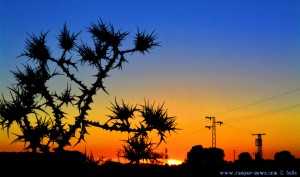 Sunset at Laguna de los Tollos – Spain → Manual control → 18:11:15