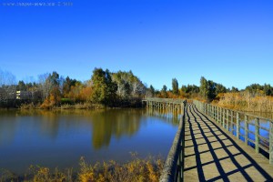 Bridge of Wood over the Lake in Las Doblas – Spain