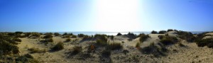 Dunas de El Portil – Spain