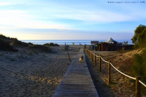 My View today - Dunas de El Portil - Spain