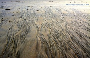 Spuren im Sand - Dunas de El Portil – Spain