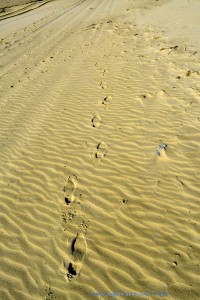Deine Spuren im Sand.... Träller - Dunas de El Portil – Spain