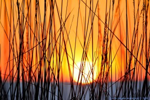 Sunset at Dunas de El Portil – Spain