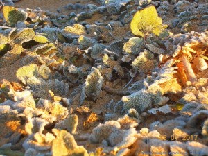 Alles weiss draussen - Dunas de El Portil – Spain