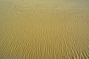 Dunas de El Portil - Spain