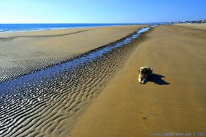 Strandspaziergang bei Ebbe - Dunas de El Portil – Spain