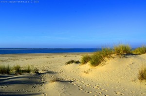 My View today - Dunas de El Portil – Spain