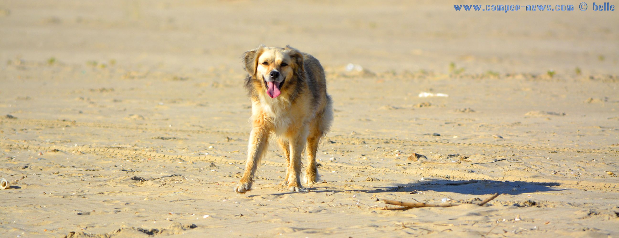 Kleine Kinder spielen gern und grosse noch viel lieber P Camper News