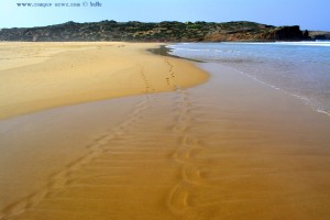 ...die ich gestern noch fand... *träller* - Praia da Bordeira – Portugal