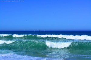 Waves and Seagulls at Praia da Costa de Santo André – Portugal