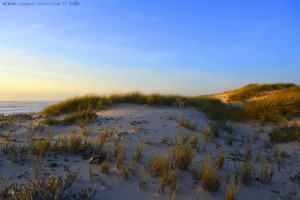 Nicol in ihren heissgeliebten Dünen - Praia das Pedras Negras – Portugal
