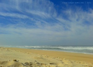 My View today - Praia das Pedras Negras – Portugal