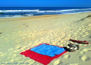 My View today - Praia da Murtinheira – Portugal