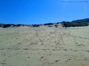 My View today - Praia da Murtinheira – Portugal