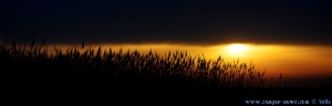 Sunset at Praia de Afife – Portugal